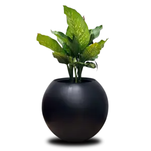 Esfera 80
