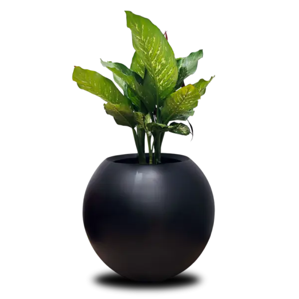 Esfera 80